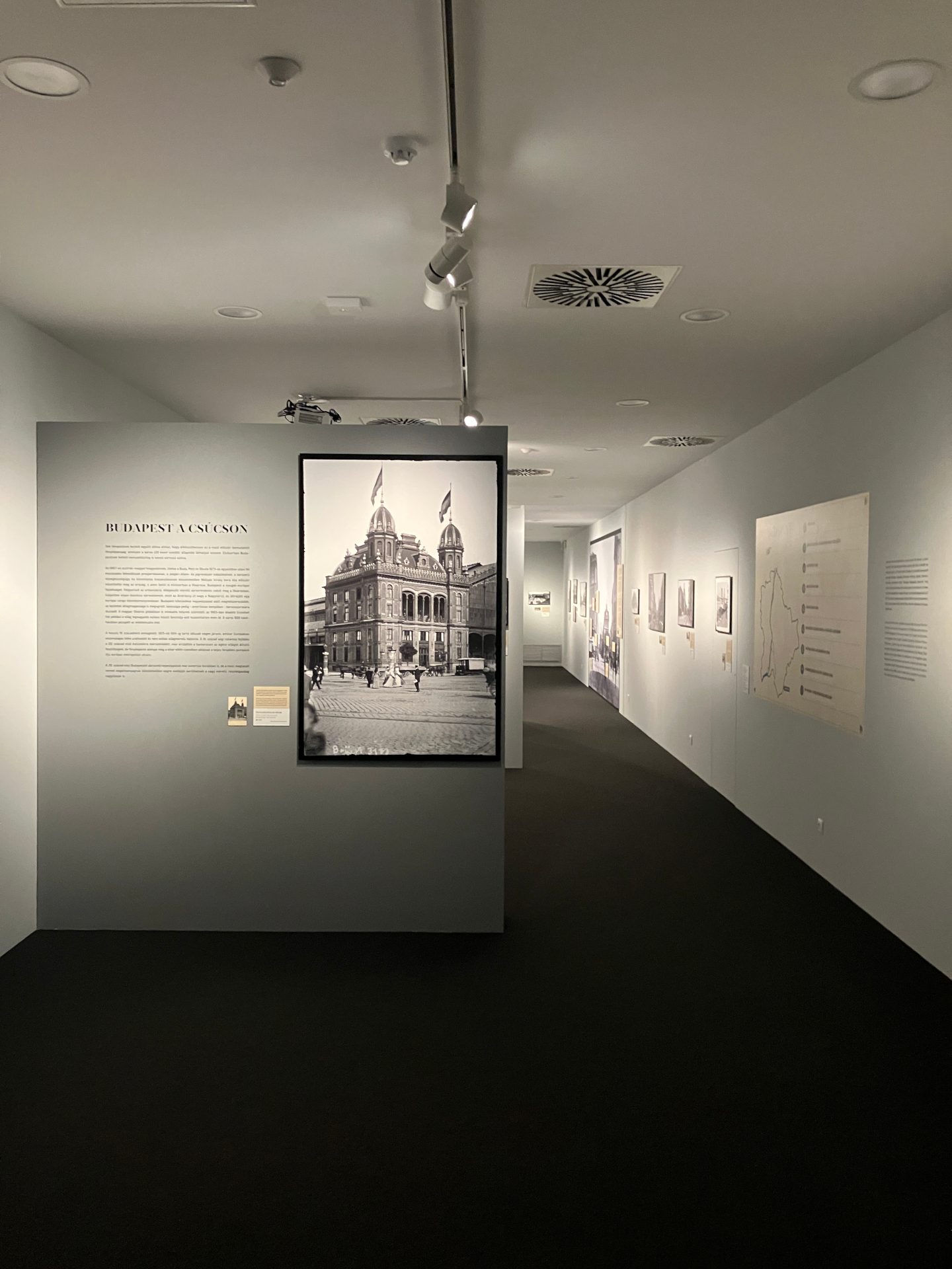 Solutia Cleartex la solicitarea speciala din partea Muzeului de Arte Plastice din Budapesta